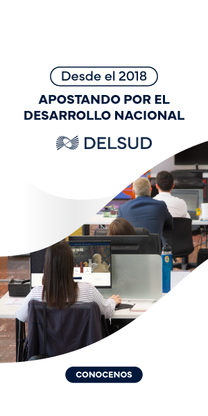 Delsud 300x600