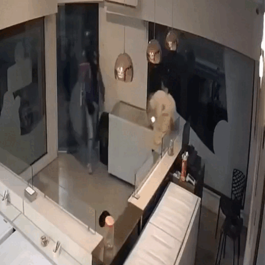 gonnet: culatazo, amenaza de muerte y terror en una heladeria gonnet: culatazo, amenaza de muerte y terror en una heladeria