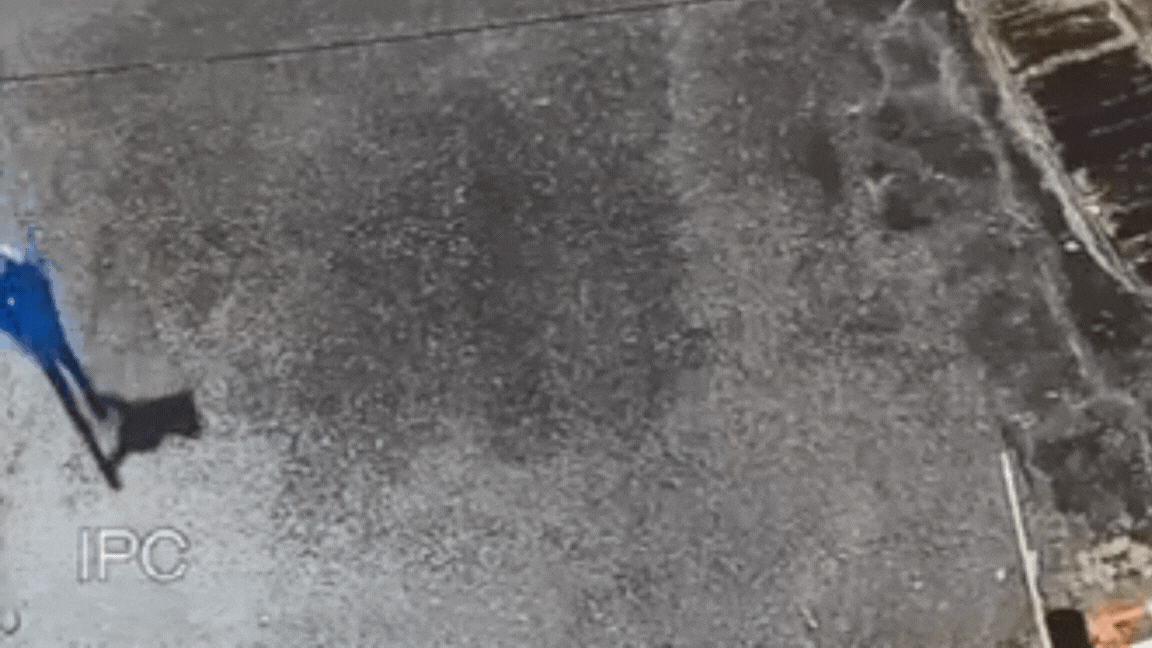 el video que compromete al detenido por el crimen de pablo mieres el video que compromete al detenido por el crimen de pablo mieres