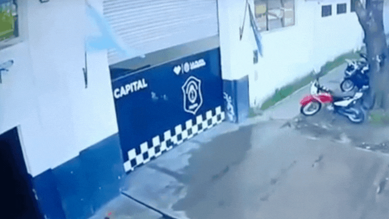 ladron enamorado: robo un ramo de flores en villa elisa ladron enamorado: robo un ramo de flores en villa elisa