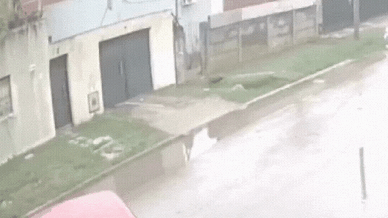 berisso: choco un taxi y arrastro al dueno varios metros berisso: choco un taxi y arrastro al dueno varios metros