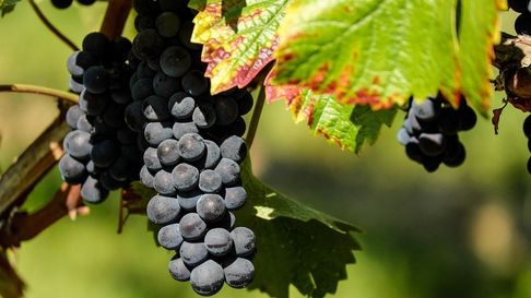 El Gobierno nacional intervino el funcionamiento del INV. El Gobierno nacional intervino el funcionamiento del INV.