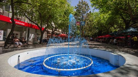 Capital se suma a la campaña Noviembre azul y con bigotes. Capital se suma a la campaña Noviembre azul y con bigotes.