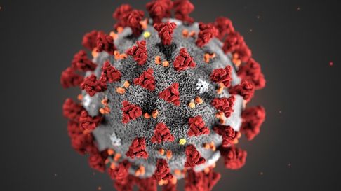 detectan un covid frankenstein en argentina ¿como identificar los sintomas? detectan un covid frankenstein en argentina ¿como identificar los sintomas?