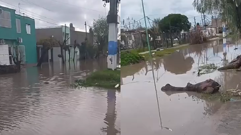 Varias cuadras del Barrio El Carmen quedaron anegadas por las tormentas en La Plata Varias cuadras del Barrio El Carmen quedaron anegadas por las tormentas en La Plata