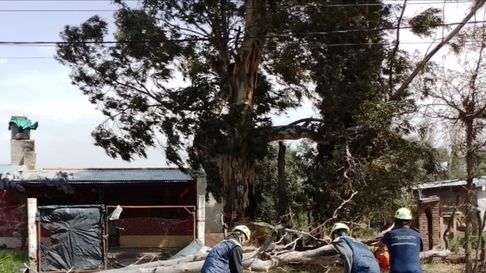 viento y lluvias en san rafael: arboles caidos, principio de incendio y conductor borracho detenido viento y lluvias en san rafael: arboles caidos, principio de incendio y conductor borracho detenido