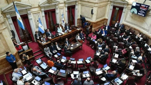 El Senado podría dejar firme la ley de emergencia a la discapacidad. El Senado podría dejar firme la ley de emergencia a la discapacidad.