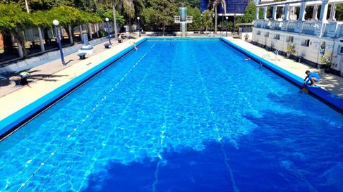 calor en la plata: cuales son los precios de la pileta del lobo calor en la plata: cuales son los precios de la pileta del lobo