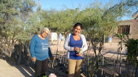 Del campo familiar a la mesa, una campaña de la UST para generar conciencia sobre lo que comemos. Del campo familiar a la mesa, una campaña de la UST para generar conciencia sobre lo que comemos.
