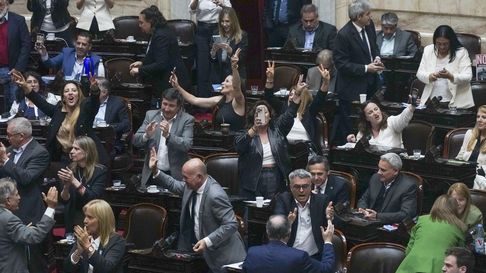 Diputados rechazó los vetos de Milei y ahora la pelota pasa al Senado. Diputados rechazó los vetos de Milei y ahora la pelota pasa al Senado.