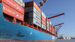 El boom de los importados no pega fuerte en La Plata El boom de los importados no pega fuerte en La Plata