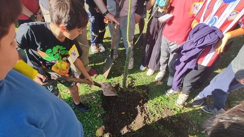 grupo scout rindio homenaje al papa francisco en etcheverry grupo scout rindio homenaje al papa francisco en etcheverry