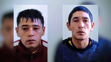 Los sujetos admitieron su culpabilidad y fueron condenados.