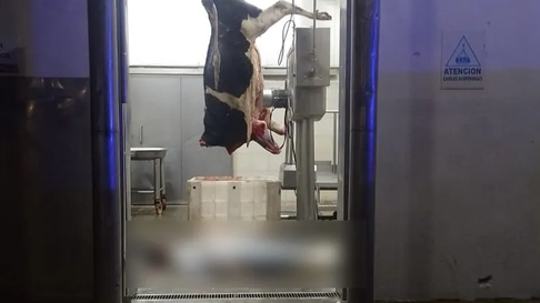 La hipótesis sobre la muerte en el frigorífico de Gorina La hipótesis sobre la muerte en el frigorífico de Gorina