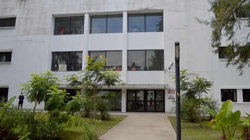 el conicet la plata realizara una feria a cielo abierto en el predio de humanidades el conicet la plata realizara una feria a cielo abierto en el predio de humanidades