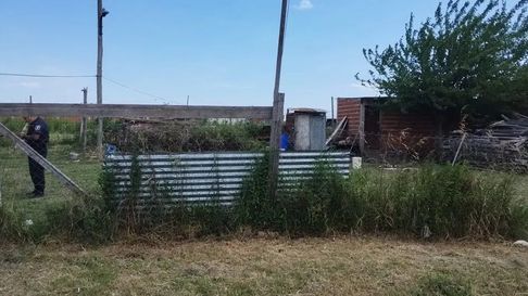 mato a su perro tras el ataque a un nino en melchor romero mato a su perro tras el ataque a un nino en melchor romero