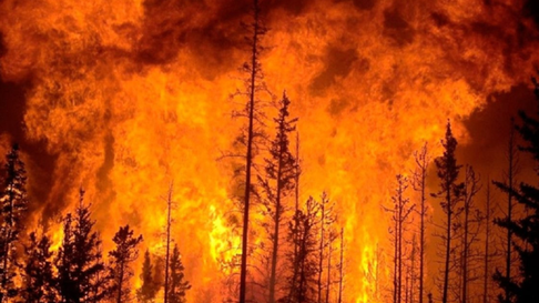 El presidente de Chile, Gabriel Boric, informó hoy que hay 27 focos de incendios activos que están siendo combatidos por brigadistas, bomberos y personal de emergencia. El presidente de Chile, Gabriel Boric, informó hoy que hay 27 focos de incendios activos que están siendo combatidos por brigadistas, bomberos y personal de emergencia.