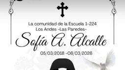 Desde la escuela a la que asistía la niña difundieron una imagen en su honor. Desde la escuela a la que asistía la niña difundieron una imagen en su honor.