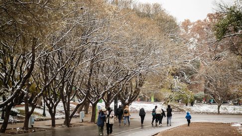 Parque San Martín de Mendoza Parque San Martín de Mendoza