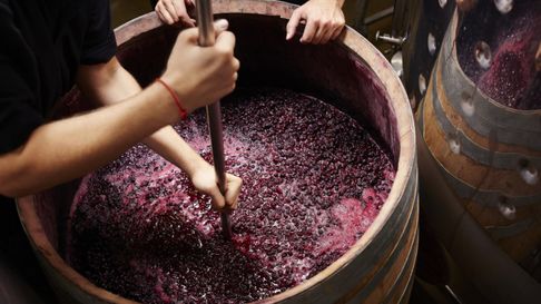 Operativo conjunto de anticipo de cosecha, acarreo y elaboración de uvas destinadas a la producción de mosto para Mendoza y San Juan. Operativo conjunto de anticipo de cosecha, acarreo y elaboración de uvas destinadas a la producción de mosto para Mendoza y San Juan.