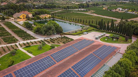 Cómo puede impactar en Mendoza el acuerdo entre Mercosur y la Unión Europea Cómo puede impactar en Mendoza el acuerdo entre Mercosur y la Unión Europea