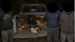 En total son tres los detenidos por el robo de ganado en Alvear. En total son tres los detenidos por el robo de ganado en Alvear.