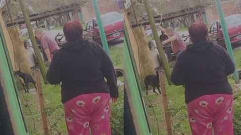 Las imágenes fueron captadas en San Carlos, La Plata Las imágenes fueron captadas en San Carlos, La Plata