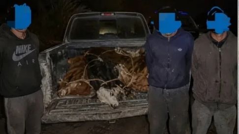 persecucion y robo de animales en general alvear: un policia bajo sospecha persecucion y robo de animales en general alvear: un policia bajo sospecha