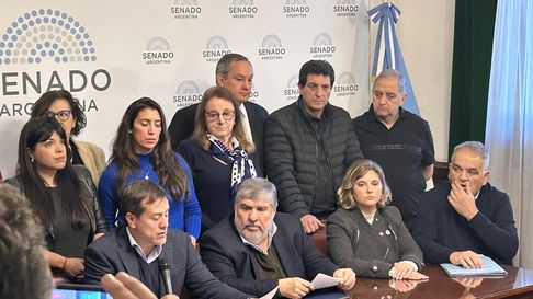 senadores de union por la patria cruzaron a milei por los vetos senadores de union por la patria cruzaron a milei por los vetos