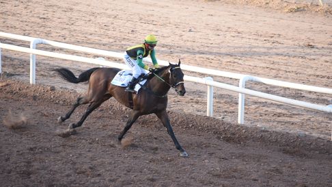 Code Breaker se quedó con Clásico Santo Patrono Santiago. Code Breaker se quedó con Clásico Santo Patrono Santiago.