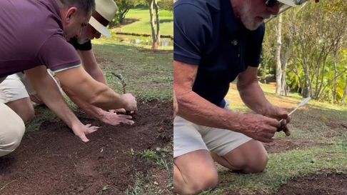 Lula grabó un video en los jardines del Palacio de la Alvorada para invitar a Donald Trump a visitar Brasil en medio de la crisis por los aranceles. Lula grabó un video en los jardines del Palacio de la Alvorada para invitar a Donald Trump a visitar Brasil en medio de la crisis por los aranceles.