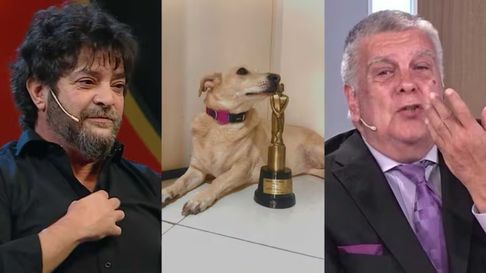 pablo rago hizo sus propios premios martin fierro y luis ventura no se lo perdono pablo rago hizo sus propios premios martin fierro y luis ventura no se lo perdono