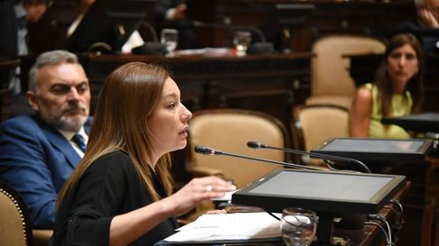 La senadora Adriana Cano (PJ). La senadora Adriana Cano (PJ).