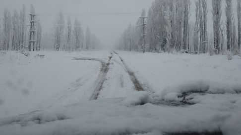 La nieve en Mendoza inundó las redes sociales. La nieve en Mendoza inundó las redes sociales.