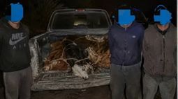 Persecución y robo de animales en General Alvear: un policía bajo sospecha Persecución y robo de animales en General Alvear: un policía bajo sospecha