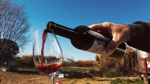 berisso le puso fecha a una nueva fiesta del vino de la costa berisso le puso fecha a una nueva fiesta del vino de la costa