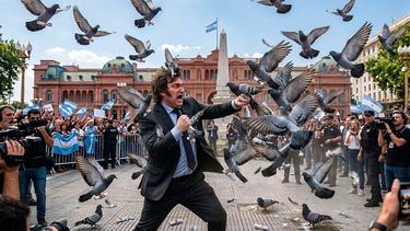 La desregulación de la colombofilia generó las críticas del sector hacia Javier Milei La desregulación de la colombofilia generó las críticas del sector hacia Javier Milei