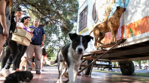 lujan de cuyo se suma a los festejos por el dia del animal lujan de cuyo se suma a los festejos por el dia del animal