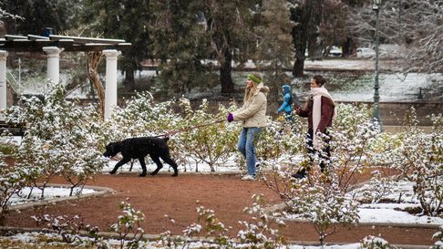 El domingo nevó en la Ciudad de Mendoza El domingo nevó en la Ciudad de Mendoza