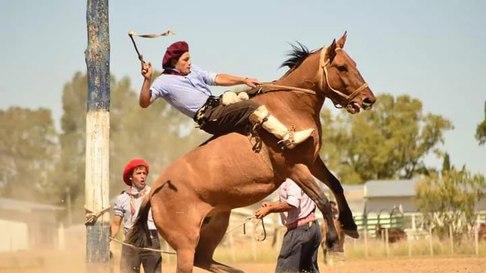 La diputada provincial Laura Balsells Miró busca prohibir las jineteadas en Mendoza. La diputada provincial Laura Balsells Miró busca prohibir las jineteadas en Mendoza.