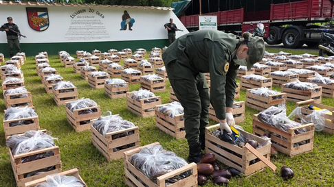 Se incautaron 31 kilos de cocaína escondidos en cajas de berenjenas. Se incautaron 31 kilos de cocaína escondidos en cajas de berenjenas.