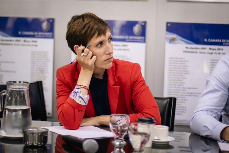 Los glaciares y ambientes periglaciares fueron materia de la exposición de Jimena Latorre, ministra de Ambiente y Energía, en un plenario de comisiones de la Legislatura. 