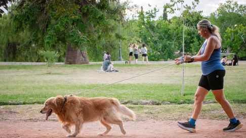 Parque San Martín. Ciudad de Mendoza Parque San Martín. Ciudad de Mendoza