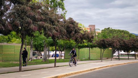Mendoza vivirá un día de calor, con algunas nubes. Mendoza vivirá un día de calor, con algunas nubes.
