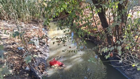 El colapso de un colector cloacal de AYSAM afecta más de 500 hectáreas productivas en Guaymallén. El colapso de un colector cloacal de AYSAM afecta más de 500 hectáreas productivas en Guaymallén.