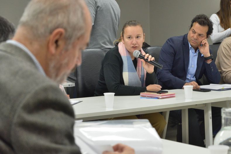 La diputada Stella Maris Huczak (Pro) propone un sistema de becas para deportistas de alto rendimiento.&nbsp;