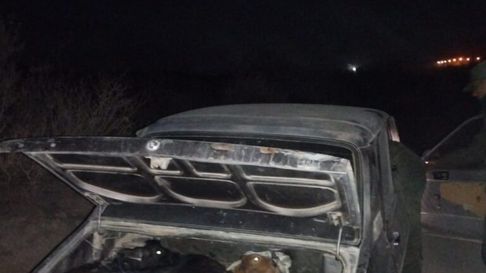 Imagen de los animales escondidos en el vehículo. Imagen de los animales escondidos en el vehículo.