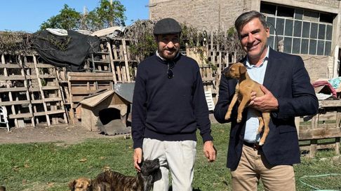 Mario Vadillo, candidato del Frente Verde, explicó en qué consiste el proyecto que defiende a animales. Mario Vadillo, candidato del Frente Verde, explicó en qué consiste el proyecto que defiende a animales.