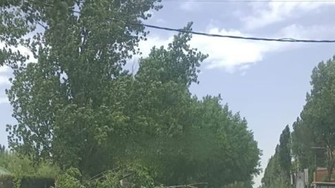 Las ráfagas soplaron muy fuerte en la tarde de este jueves en San Rafael. Las ráfagas soplaron muy fuerte en la tarde de este jueves en San Rafael.