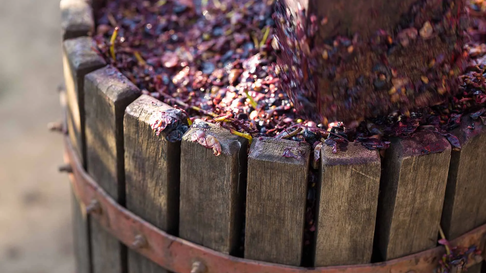 Tras la declaración de emergencia o desastre agropecuario en la provincia, los productores damnificados acceden a beneficios como exenciones impositivas, bonificaciones en tarifas de energía para riego, prórrogas en el pago de créditos y suspensiones de juicios por cobro de deudas. Tras la declaración de emergencia o desastre agropecuario en la provincia, los productores damnificados acceden a beneficios como exenciones impositivas, bonificaciones en tarifas de energía para riego, prórrogas en el pago de créditos y suspensiones de juicios por cobro de deudas.